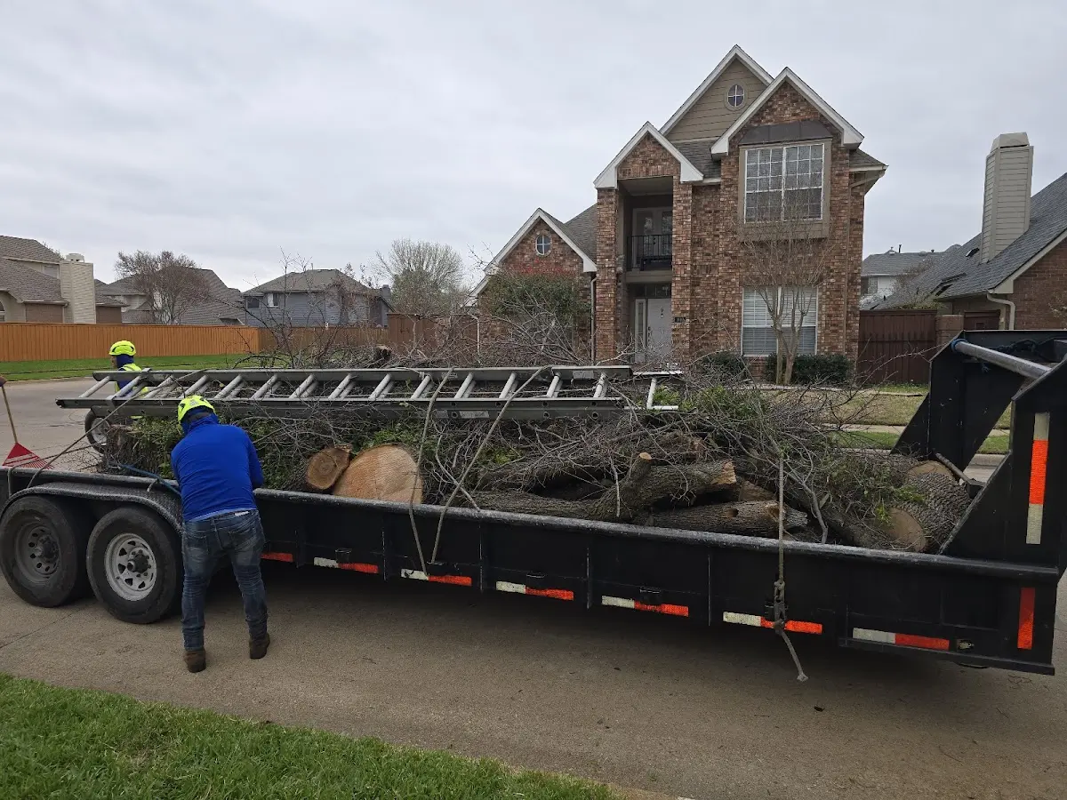 Expert Tree Fertilization with proper safety equipment in Arnoldsburg
